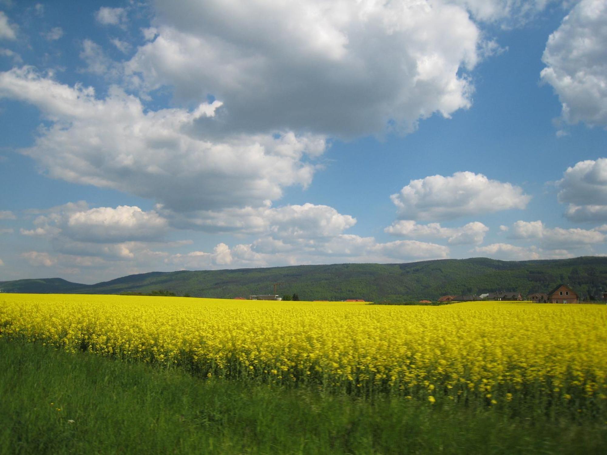 Penzion Speller Vysoký Újezd Exterior foto